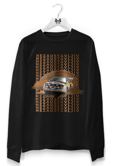 Audi Quattro S1